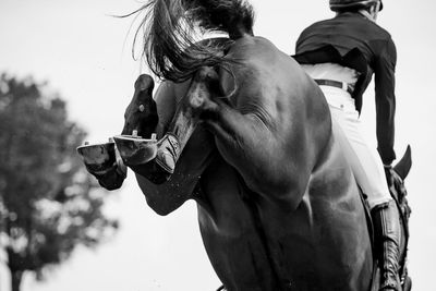 Horse jumping, equestrian sports, show jumping competition themed photograph.