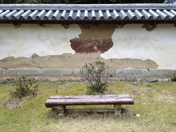 Bench against plants