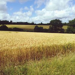 Scenic view of field against cloudy sky