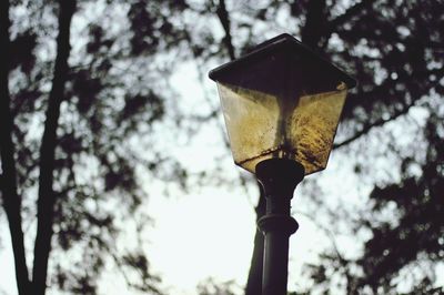 Low angle view of street light against tree