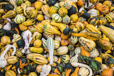 Full frame shot of pumpkins for sale at market