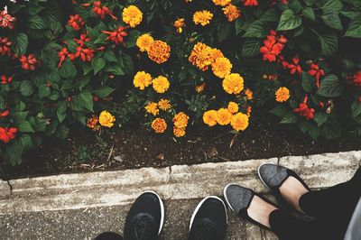 Low section of people standing by flowers