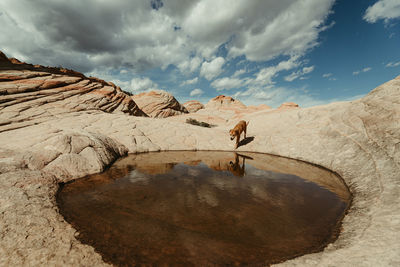 Scenic view of rocks in water against sky