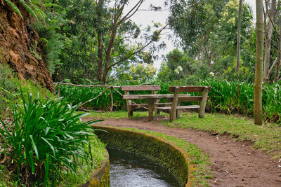 Footbridge over stream amidst trees in forest