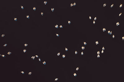 Low angle view of illuminated lighting equipment against black background