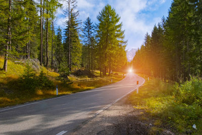 Wallpaper of beautiful long road at italy.