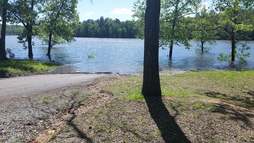 Scenic view of river against sky