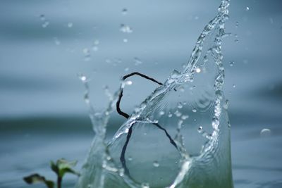 Close-up of water splashing