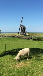 Traditional windmill in a field