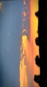 Silhouette trees against sky during sunset