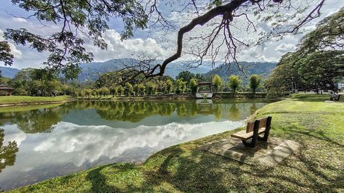 Scenic view of lake by trees against sky