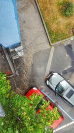 High angle view of plants on road