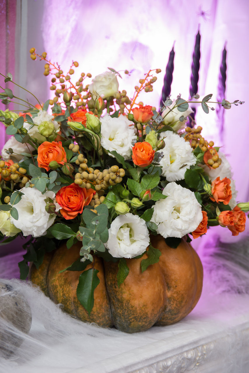 CLOSE-UP OF FLOWERS IN POT