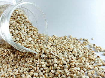 Close-up of corn on table