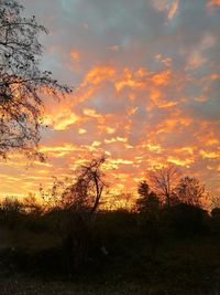 Silhouette trees on field against orange sky