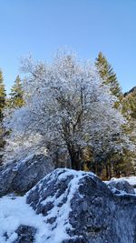 Scenic view of snow covered landscape