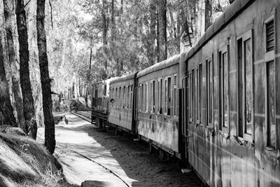 Toy train kalka-shimla route, moving on railway to the hill, toy train from kalka to shimla