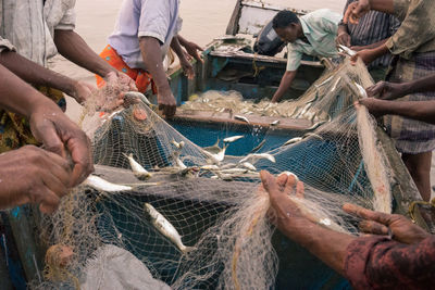 Close-up of hand holding fish