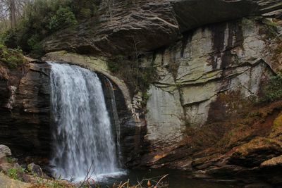 Close-up of waterfall in forest