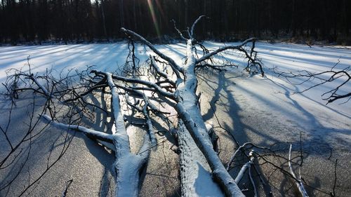 Snow on field during winter