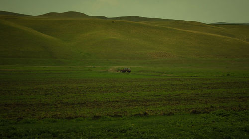Scenic view of green landscape