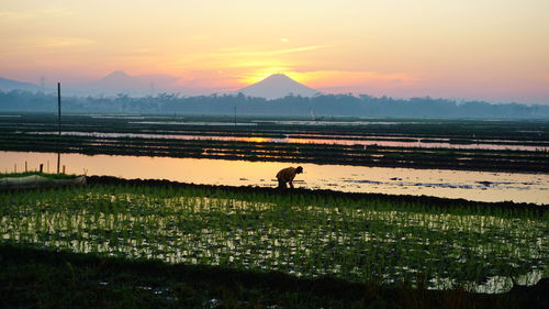 Scenic view of field against sky during sunset