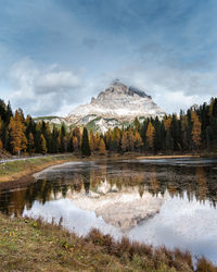 Scenic view of lake by trees against sky