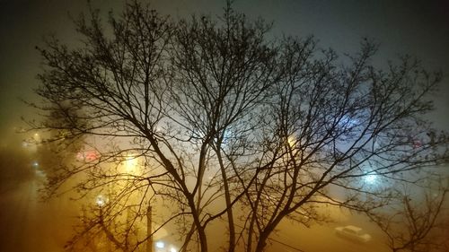 Low angle view of bare trees against sky at night