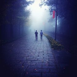 People on road amidst trees against sky