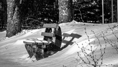 Close-up of tree stump during winter