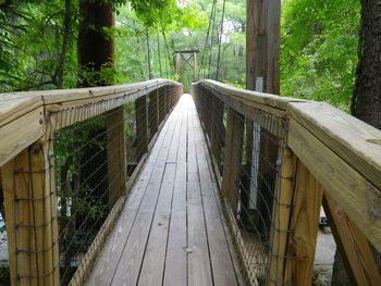 Footbridge along trees