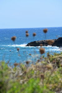 Scenic view of sea against clear sky