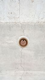 Directly above shot of coffee cup on wall