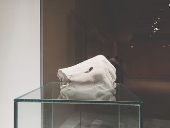 Close-up of horse