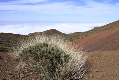 Scenic view of land against sky