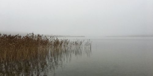 View of calm lake against clear sky