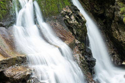 Scenic view of waterfall in forest