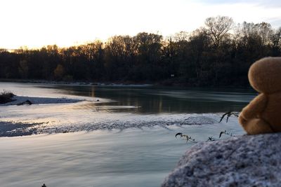 Bird by lake against sky during sunset