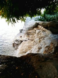 Scenic view of beach