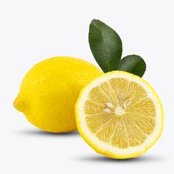 Close-up of lemon slice against white background
