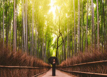 Woman on walkway amidst bamboo plants in forest