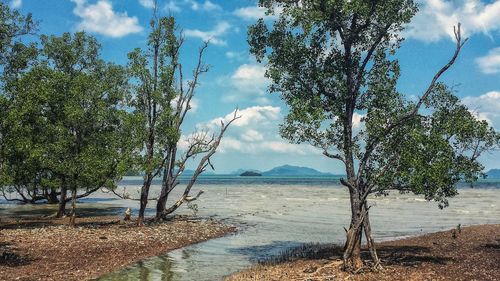 Scenic view of landscape against cloudy sky