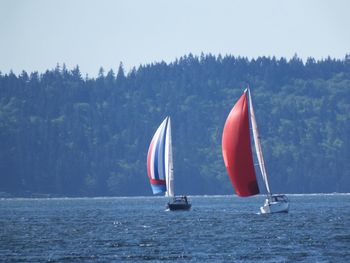 Boat sailing in sea against clear sky