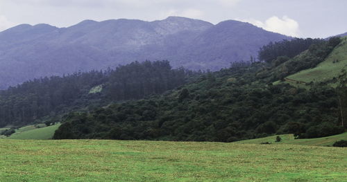 Scenic view of landscape and mountains against sky