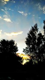 Silhouette trees against sky