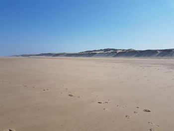 Scenic view of beach against clear sky