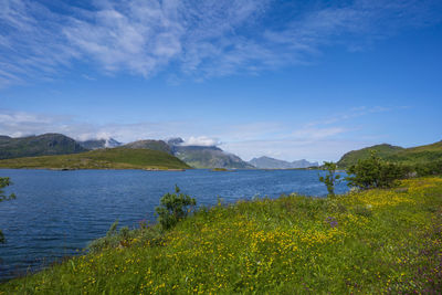 Scenic view of lake against blue sky