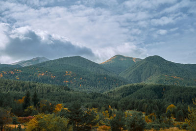 View of the pirin mountains on an autumn day, the change of seasons and the forest 