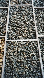 High angle view of coffee beans