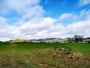 Scenic view of field against sky